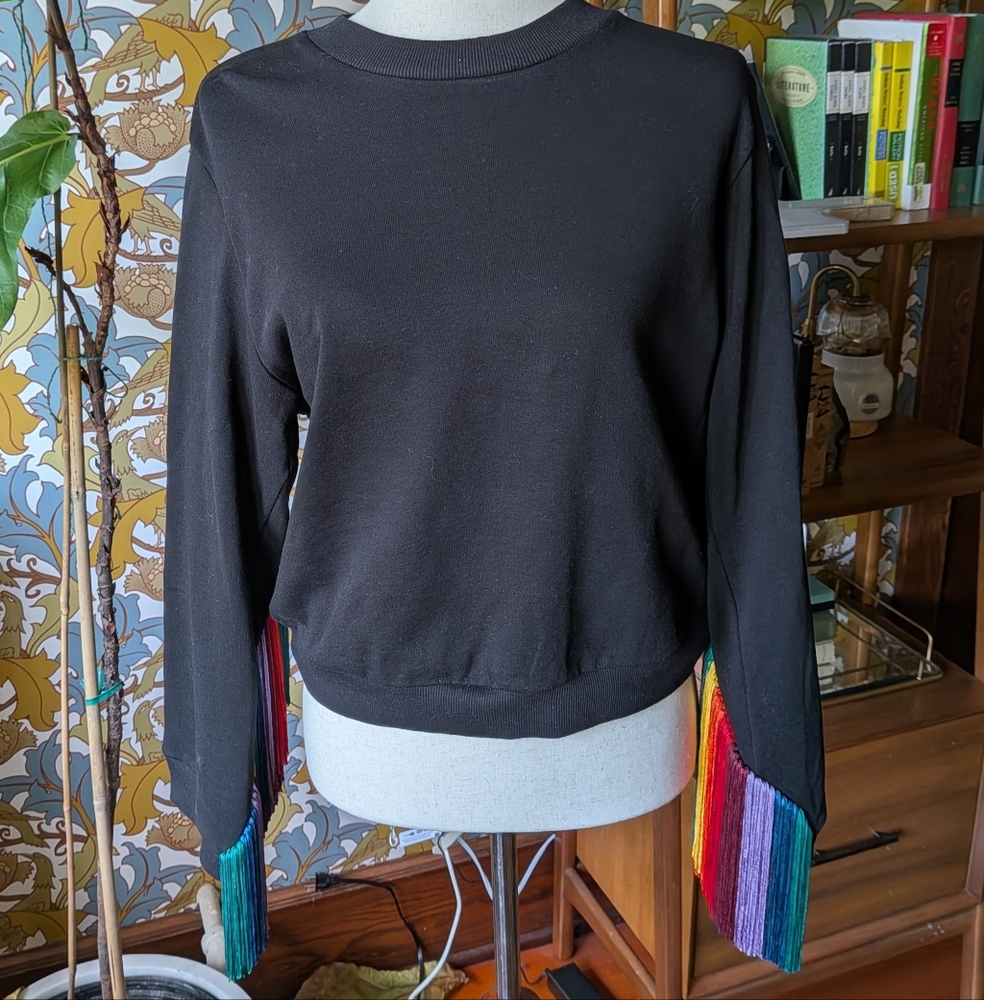 Alice + Olivia Sweater With Rainbow Fringe